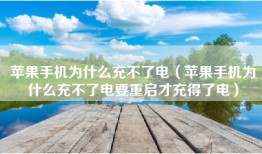 苹果手机为什么充不了电（苹果手机为什么充不了电要重启才充得了电）