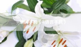 yy里的手机（yy语言手机）