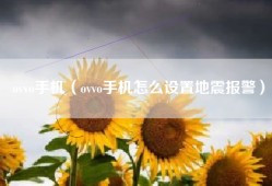 ovvo手机（ovvo手机怎么设置地震报警）