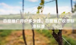 百度推广开户多少钱，百度推广收费标准标准
