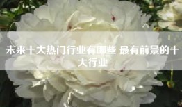未来十大热门行业有哪些 最有前景的十大行业