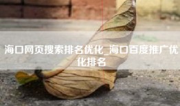 海口网页搜索排名优化_海口百度推广优化排名