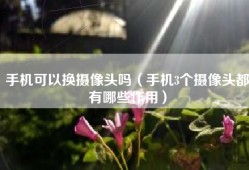 手机可以换摄像头吗（手机3个摄像头都有哪些作用）