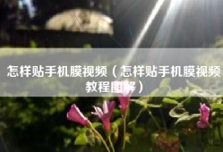 怎样贴手机膜视频（怎样贴手机膜视频教程图解）