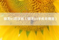 骁龙821的手机（骁龙821手机处理器）