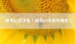 骁龙821的手机（骁龙821手机处理器）