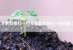 手机自带扫一扫（手机自带扫一扫功能）