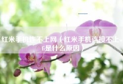 红米手机连不上网（红米手机连接不上wifi是什么原因）