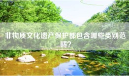 非物质文化遗产保护都包含哪些类别范畴？