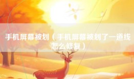手机屏幕被划（手机屏幕被划了一道线怎么修复）