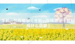 手机qq在线显示（手机qq在线显示手机在线什么意思）