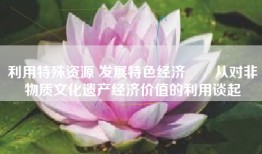 利用特殊资源 发展特色经济――从对非物质文化遗产经济价值的利用谈起