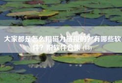 大家都是怎么用磁力链接的？有哪些软件？附软件合集 (18)
