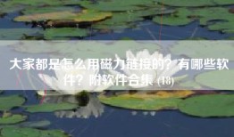 大家都是怎么用磁力链接的？有哪些软件？附软件合集 (18)