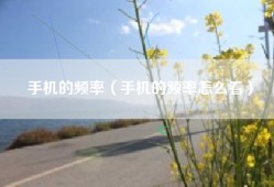 手机的频率（手机的频率怎么看）