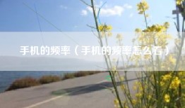 手机的频率（手机的频率怎么看）