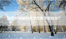 如何有效提升普定百度快照排名？