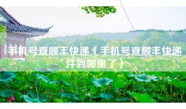 手机号查顺丰快递（手机号查顺丰快递件到哪里了）