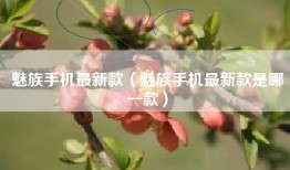 魅族手机最新款（魅族手机最新款是哪一款）