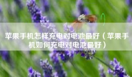 苹果手机怎样充电对电池最好（苹果手机如何充电对电池最好）