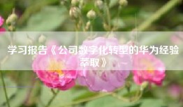 学习报告《公司数字化转型的华为经验萃取》