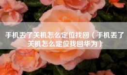 手机丢了关机怎么定位找回（手机丢了关机怎么定位找回华为）