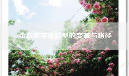 金融数字化转型的变革与路径