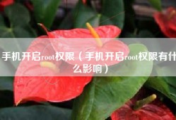 手机开启root权限（手机开启root权限有什么影响）