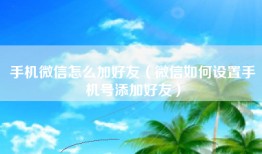 手机微信怎么加好友（微信如何设置手机号添加好友）