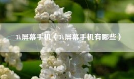 3k屏幕手机（3k屏幕手机有哪些）