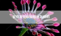 软件著作权流程是怎样的