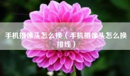 手机摄像头怎么换（手机摄像头怎么换排线）