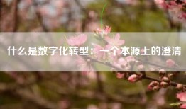什么是数字化转型：一个本源上的澄清