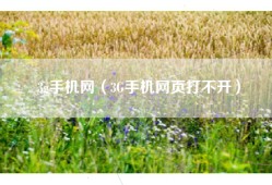 3g手机网（3G手机网页打不开）