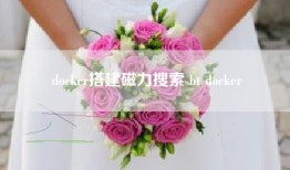 docker搭建磁力搜索 bt docker