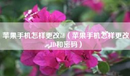 苹果手机怎样更改id（苹果手机怎样更改ID和密码）