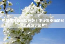 如何在《百度极速版》中设置页面加载时是否显示图片？