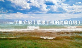 iphone手机介绍（苹果手机的简单介绍）