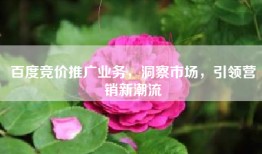 百度竞价推广业务，洞察市场，引领营销新潮流