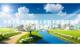 手机不能播放视频（手机不能播放视频没有声音）