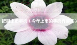 近期上市手机（今年上市的手机有哪些）