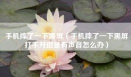 手机摔了一下黑屏（手机摔了一下黑屏打不开但是有声音怎么办）