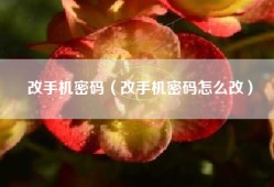 改手机密码（改手机密码怎么改）