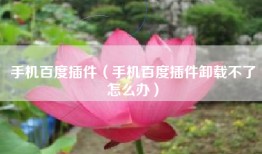手机百度插件（手机百度插件卸载不了怎么办）