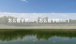 怎么看手机mac（怎么看手机MAC）