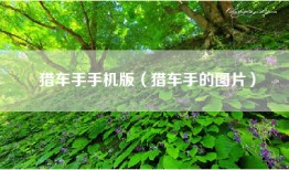 猎车手手机版（猎车手的图片）