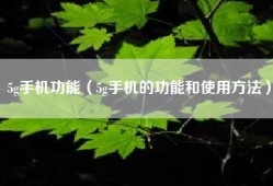 5g手机功能（5g手机的功能和使用方法）