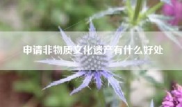 申请非物质文化遗产有什么好处