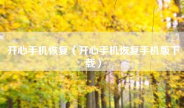 开心手机恢复（开心手机恢复手机版下载）