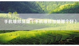 手机维修加盟（手机维修加盟哪个好）